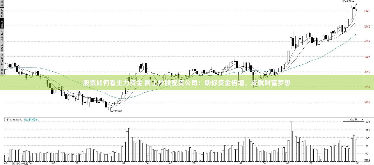 股票如何看主力资金 网上炒股配资公司：助你资金倍增，成就财富梦想